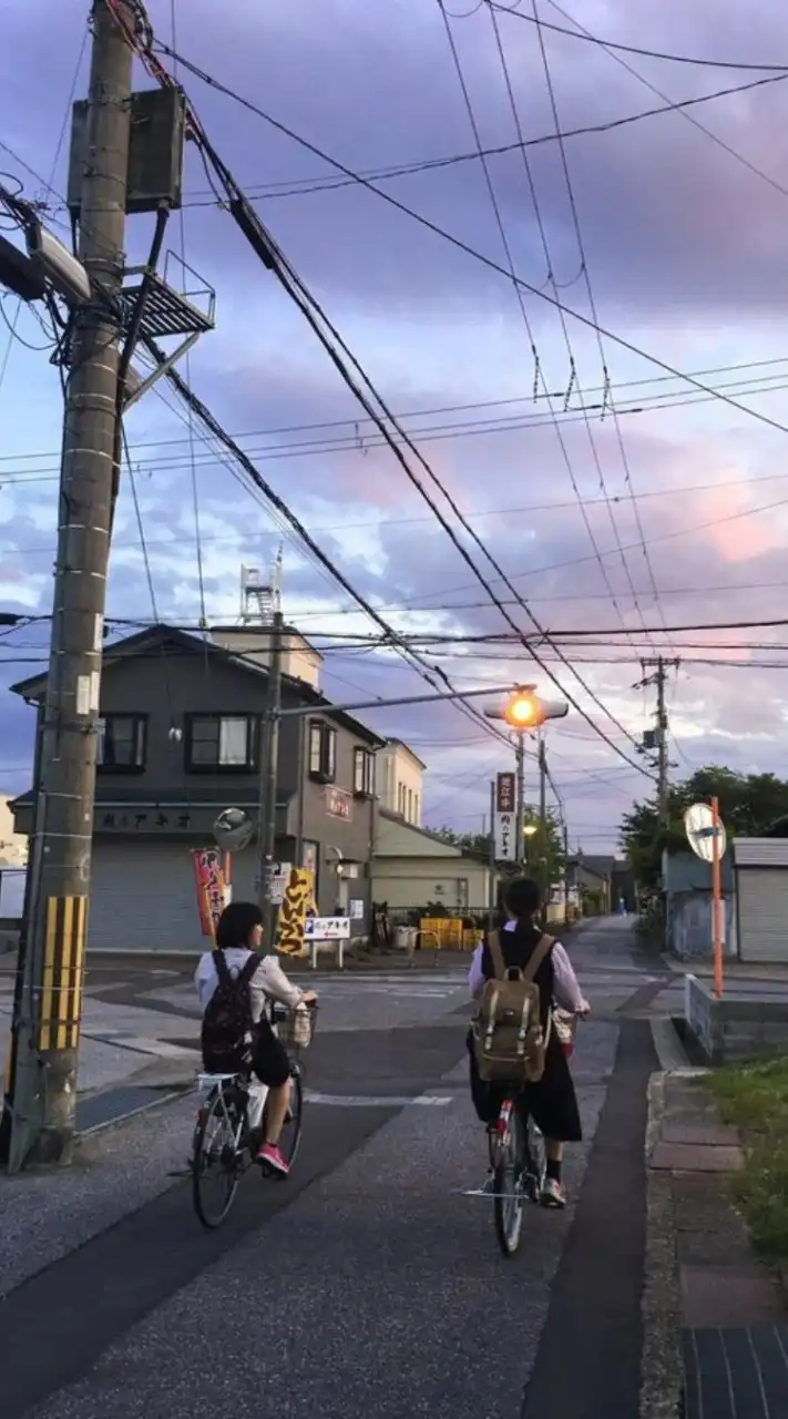 Nihon Enthusiasts
