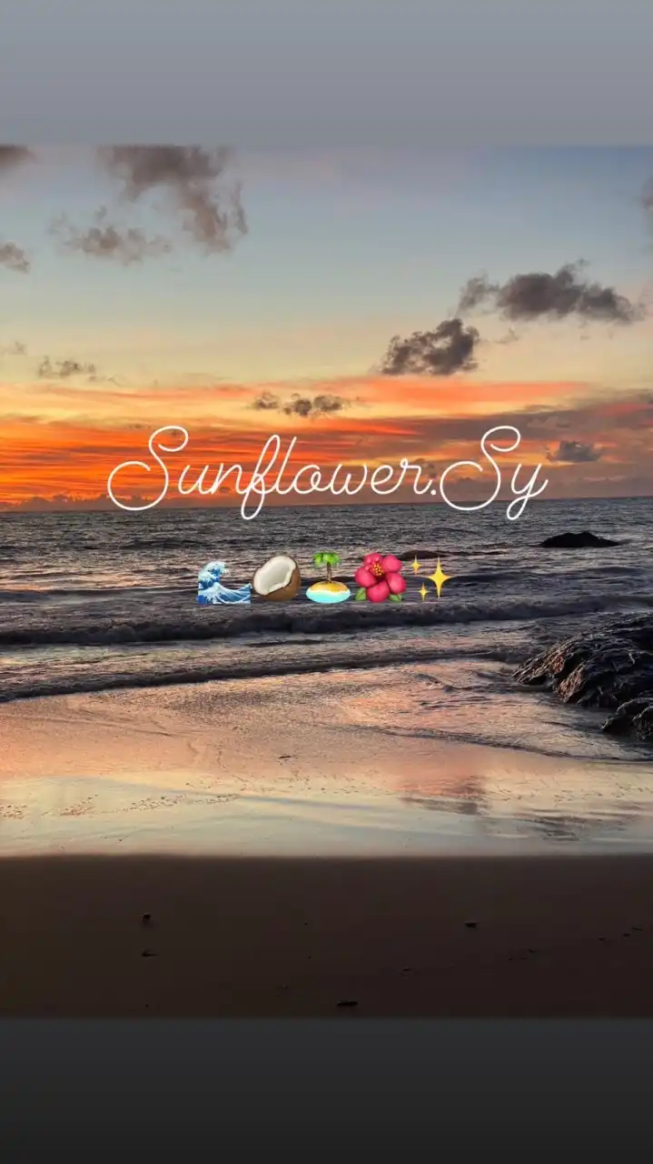 Sunflower.syyy Shop
