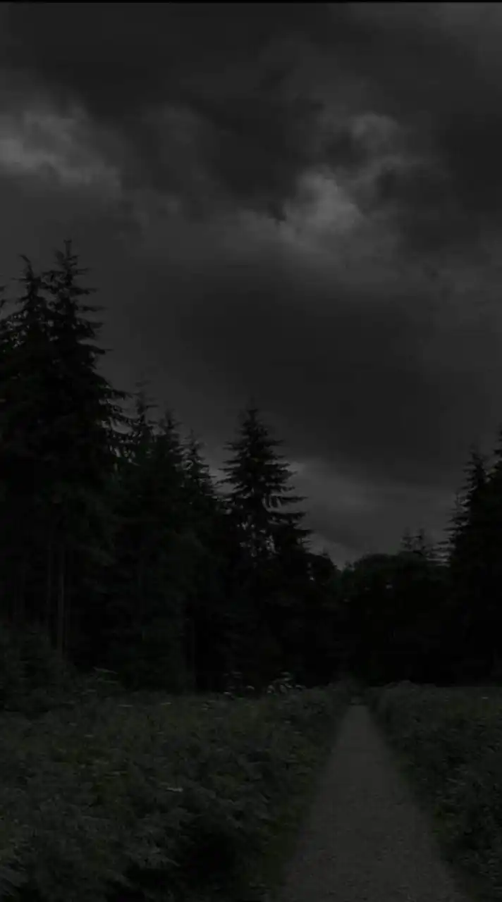 ◄◤𓆩༺ARTIST GROUP༻𓆪◥►