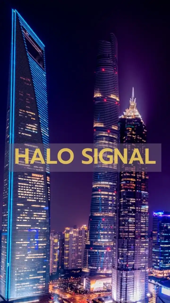 Halo Signal Forex.📊