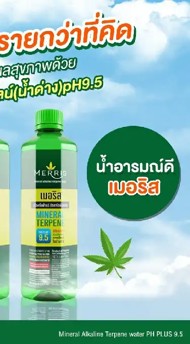 $ Merris น้ำดื่มอารมณ์ดี มีรายได้