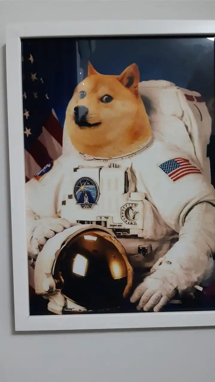 Dogecoin To The Moon !!