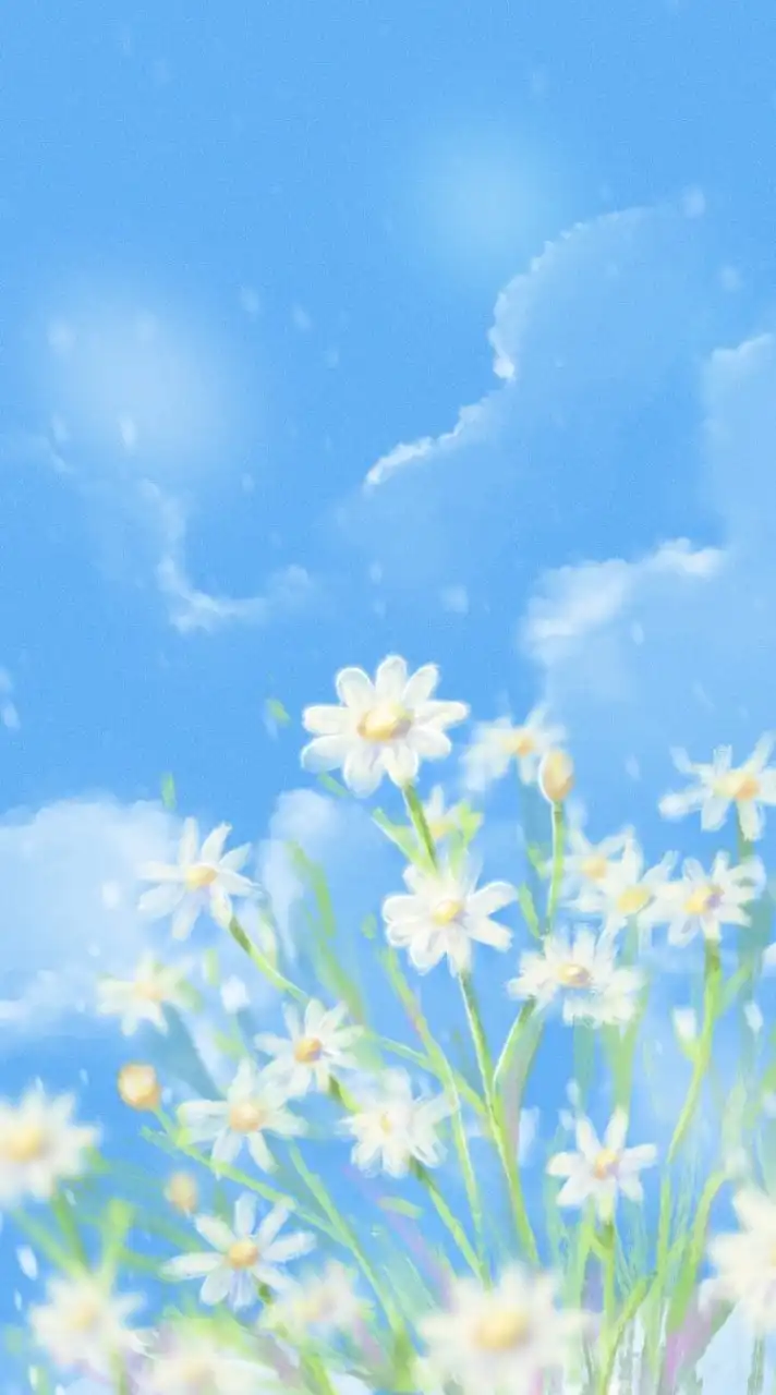 แนะแนว ม.6 / 2568