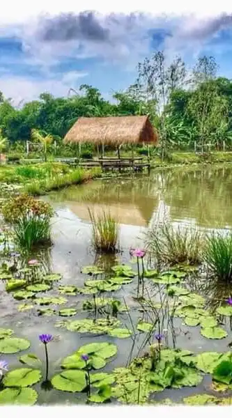 ธรรมะกับกฎหมาย