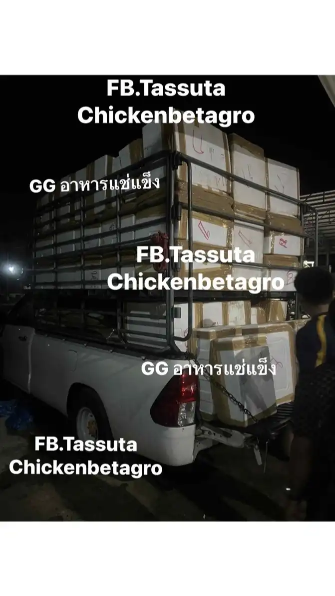 GG ชิ้นส่วนหมูเบทาโกรและชิ้นไก่สด-ฟรีส