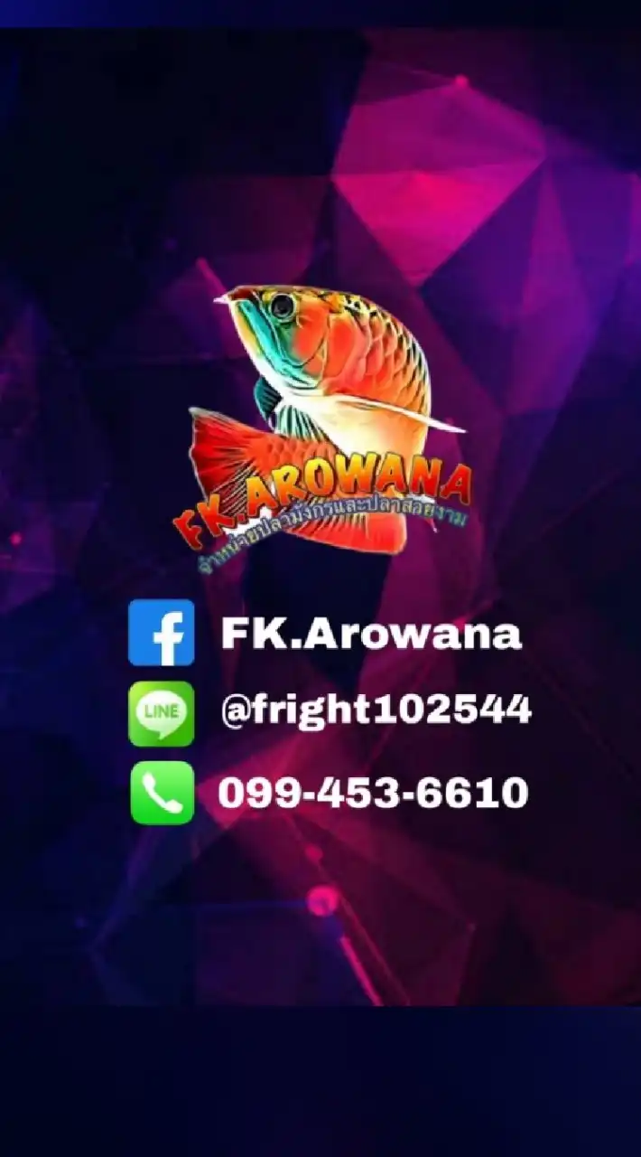 FK.Arowana