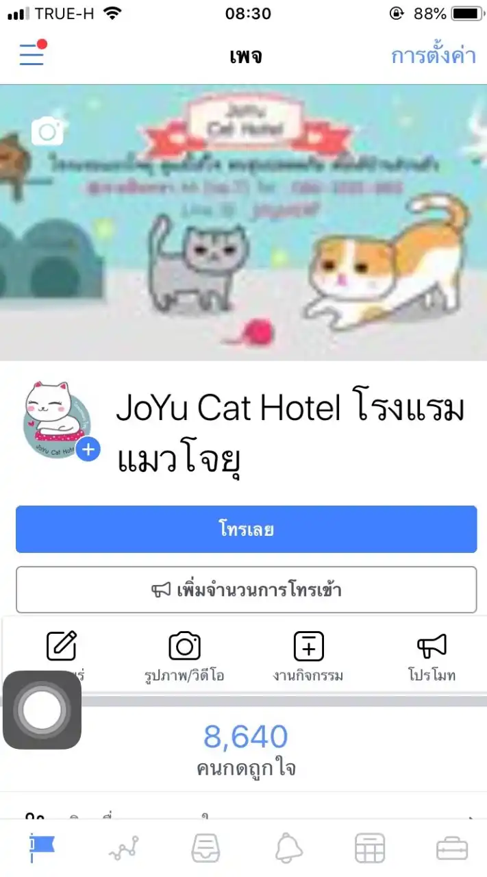 โรงแรมแมวโจยุ JoYu Cat