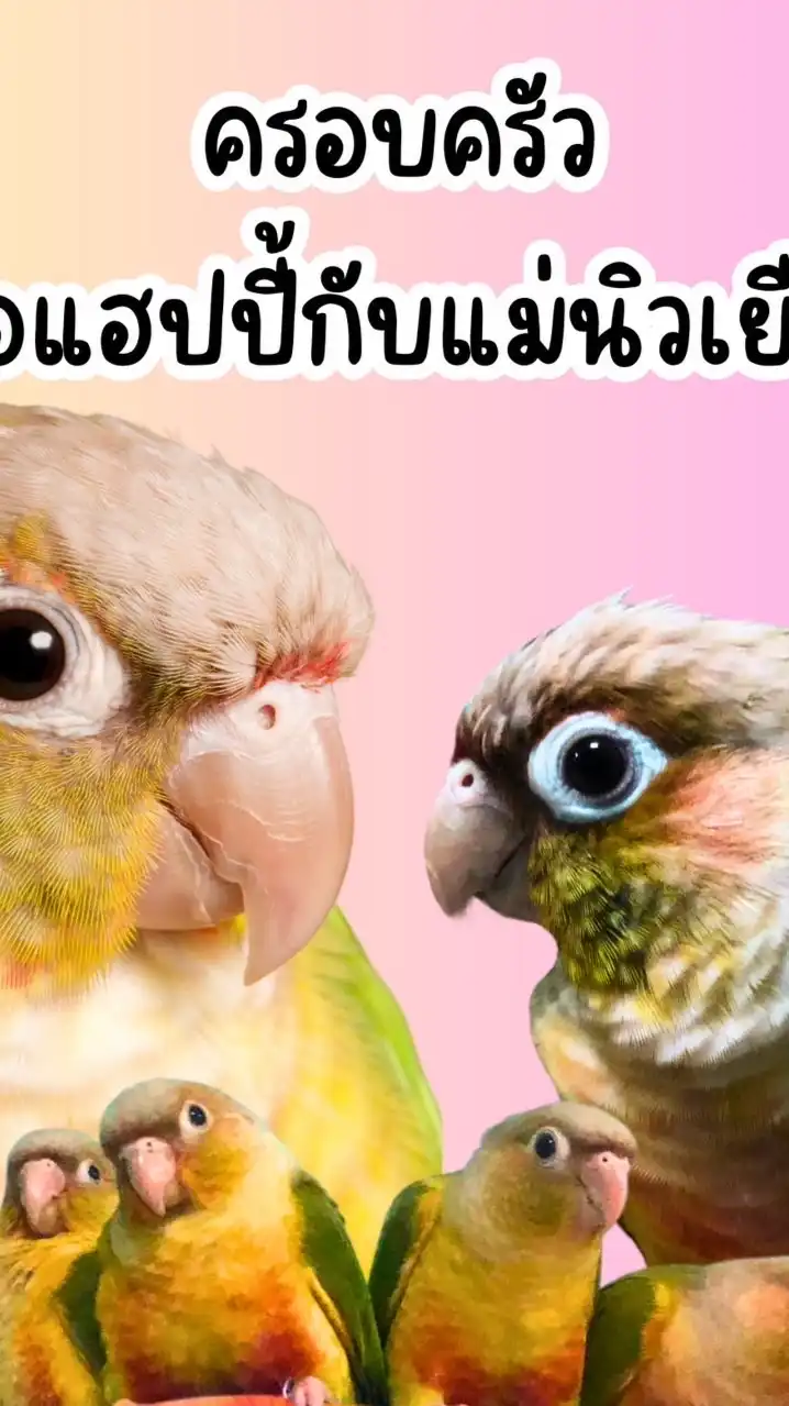 นก นก นก นกจริงๆ