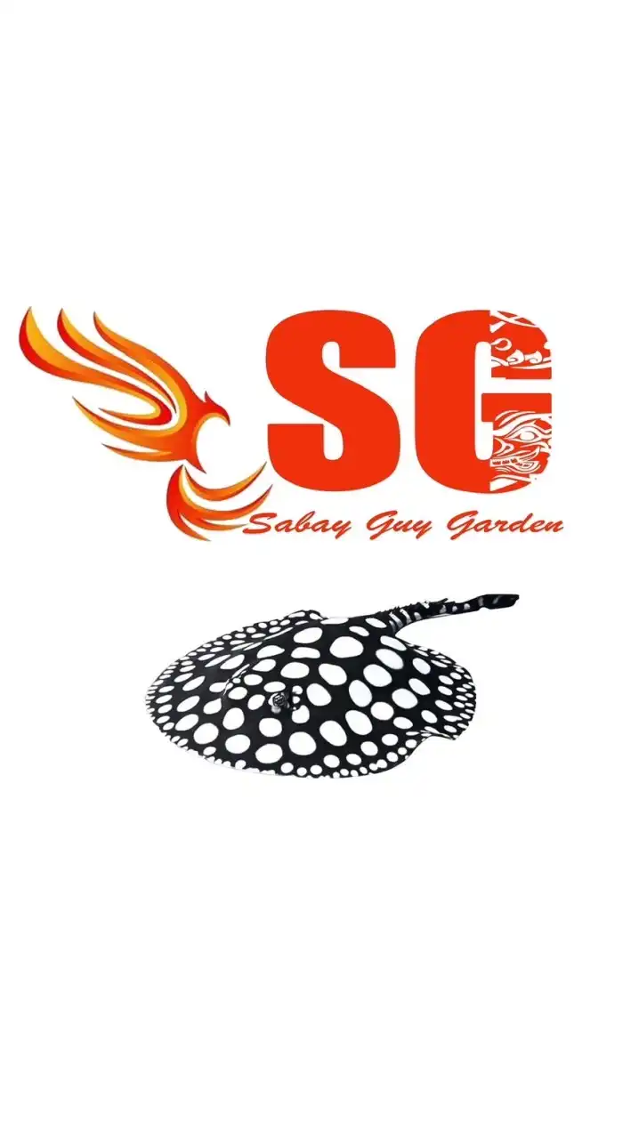 Stingray Thailand 🇹🇭 Sabay Guy Garden