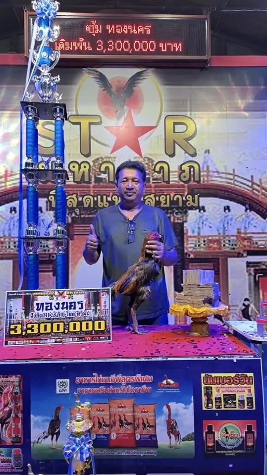 🐅เจ้าเทาพยัคฆ์🦅เจ้าอินทรีย์ทอง🇲🇲พม่าตีทุกเชิง💎น.นำโชค