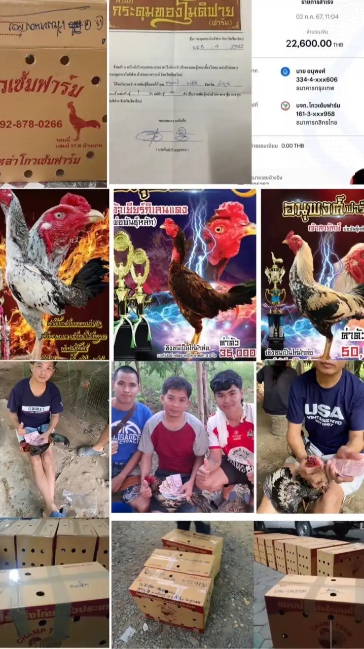 อนุพงศ์ฟร์าม