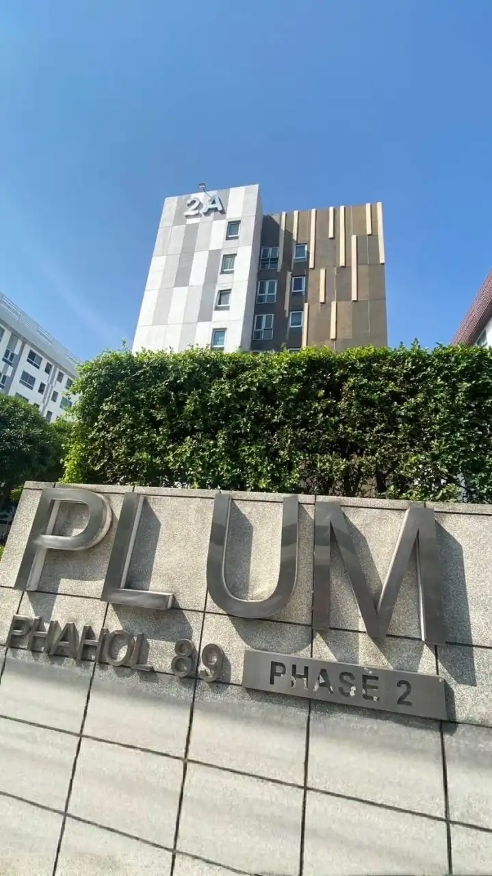 Plum89Phase2family line
