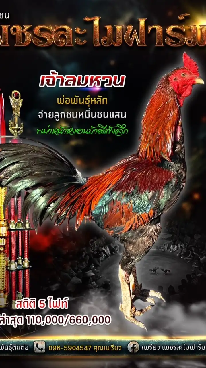 ซุ้มไก่เพชรละไมฟาร์ม🐔