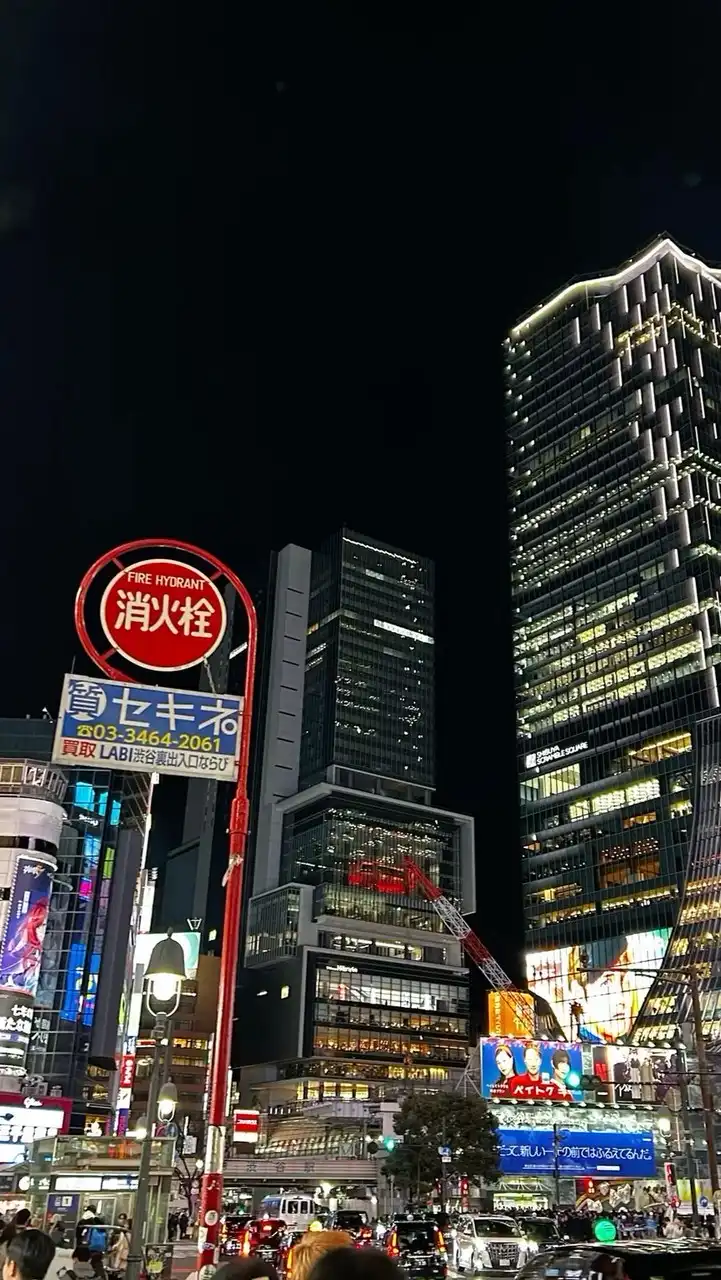 ⊹༒  .. 𝓯𝓲𝓻𝓮𝓯𝓵𝓲𝓮𝓼  𝖈𝖎𝖙𝖞 •- ホタル市  🦋 -⊹࿐