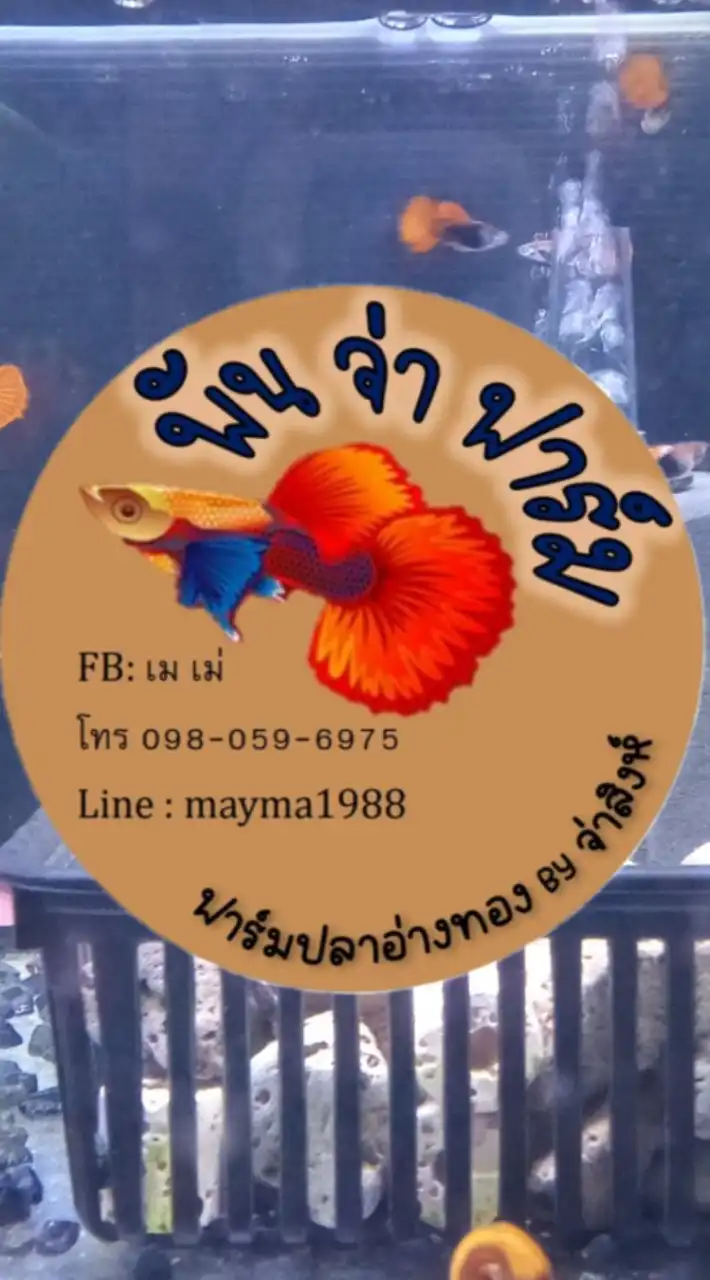 พันจ่าฟาร์ม