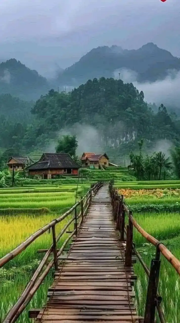 ห้องพักใจคลายเหงา 40++50+60+