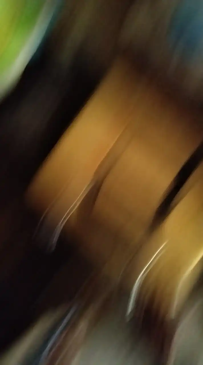bk