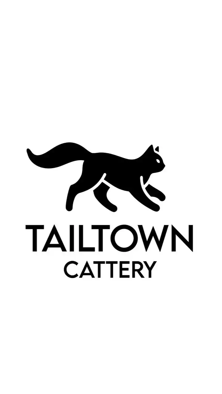 TailTownCattery-นำเข้าแมวทุกสายพันธุ์ในราคามิตรภาพ