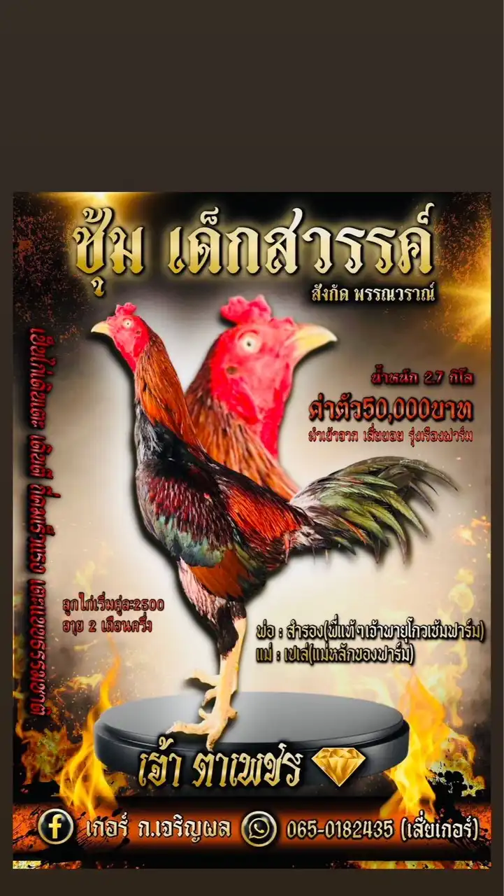 ซุ้ม เด็กสวรรค์ สังกัด พรรณวราณ์ ฟาร์ม