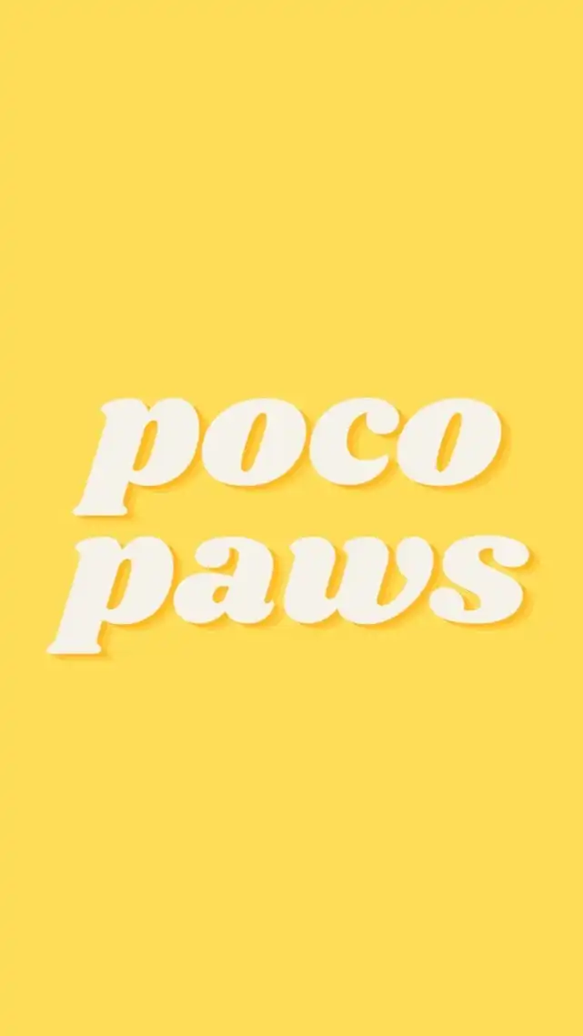 poco paw🐶 ของสัตว์เลี้ยง