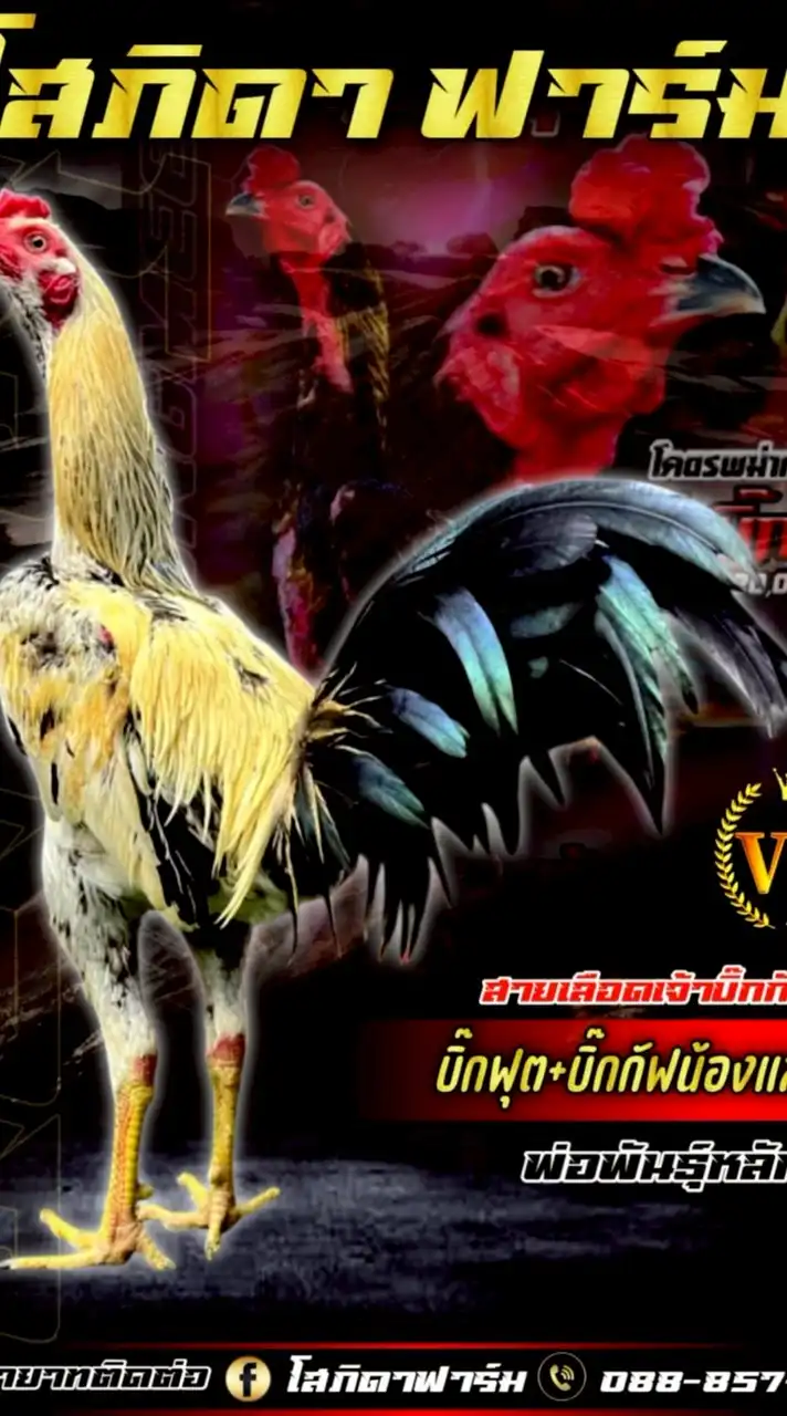 โสภิดาฟาร์ม