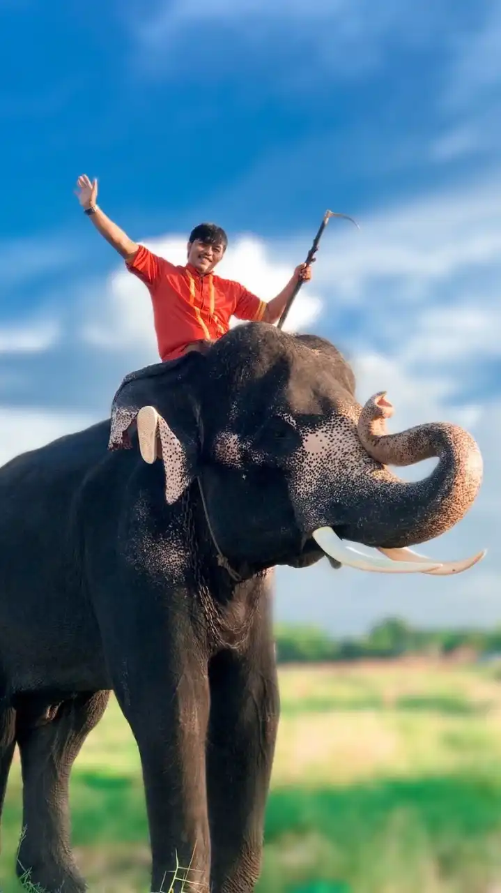 ด้อมพี่เยี่ยมฟ้าและน้องหมอนทอง🐘