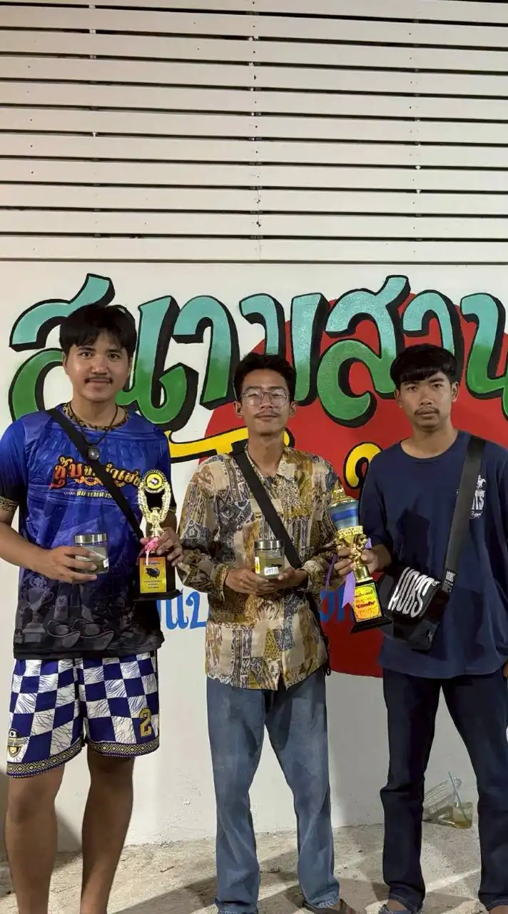 NTปลากัดบ้านบ่อ