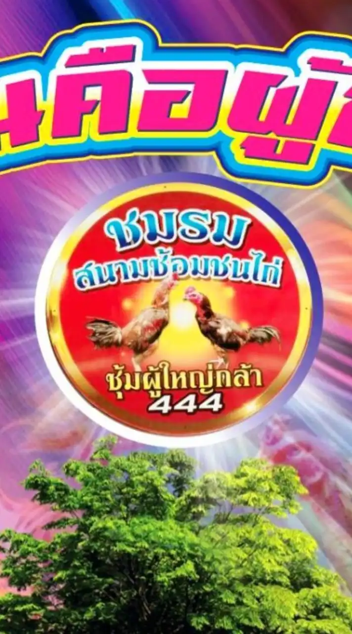 🐓ชมรมคัดซ้อมไก่ผู้ใหญ่กล้า ตอง444