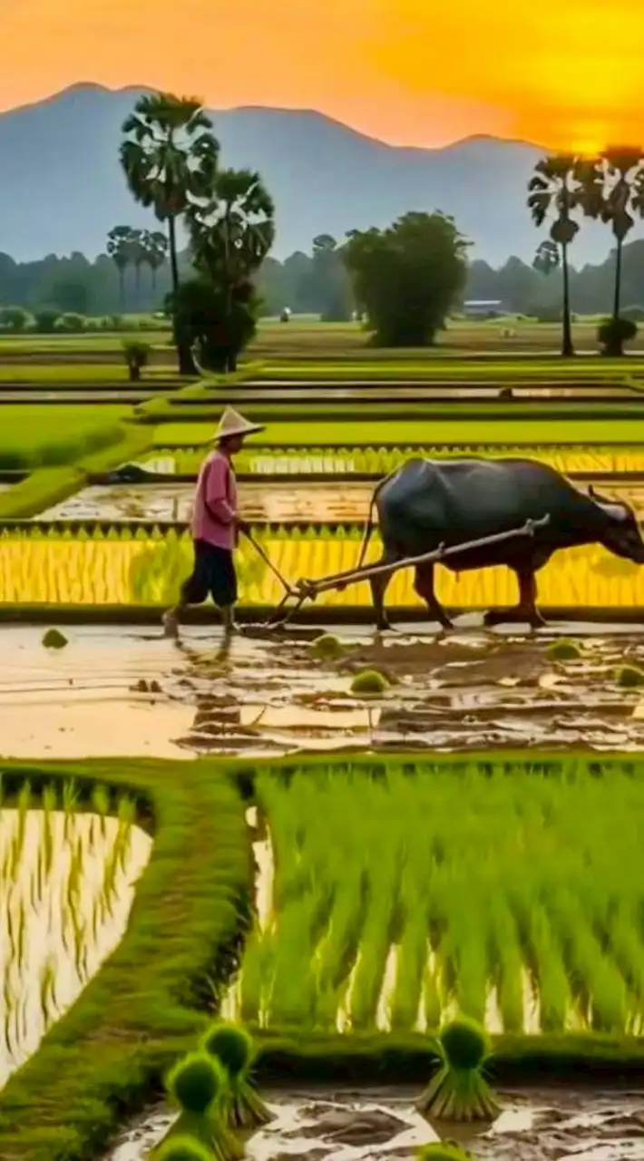 1️⃣ห้องเพลง"อดีตเพลงดัง"เพลงเก่าๆ ฟังเพราะๆ1️⃣