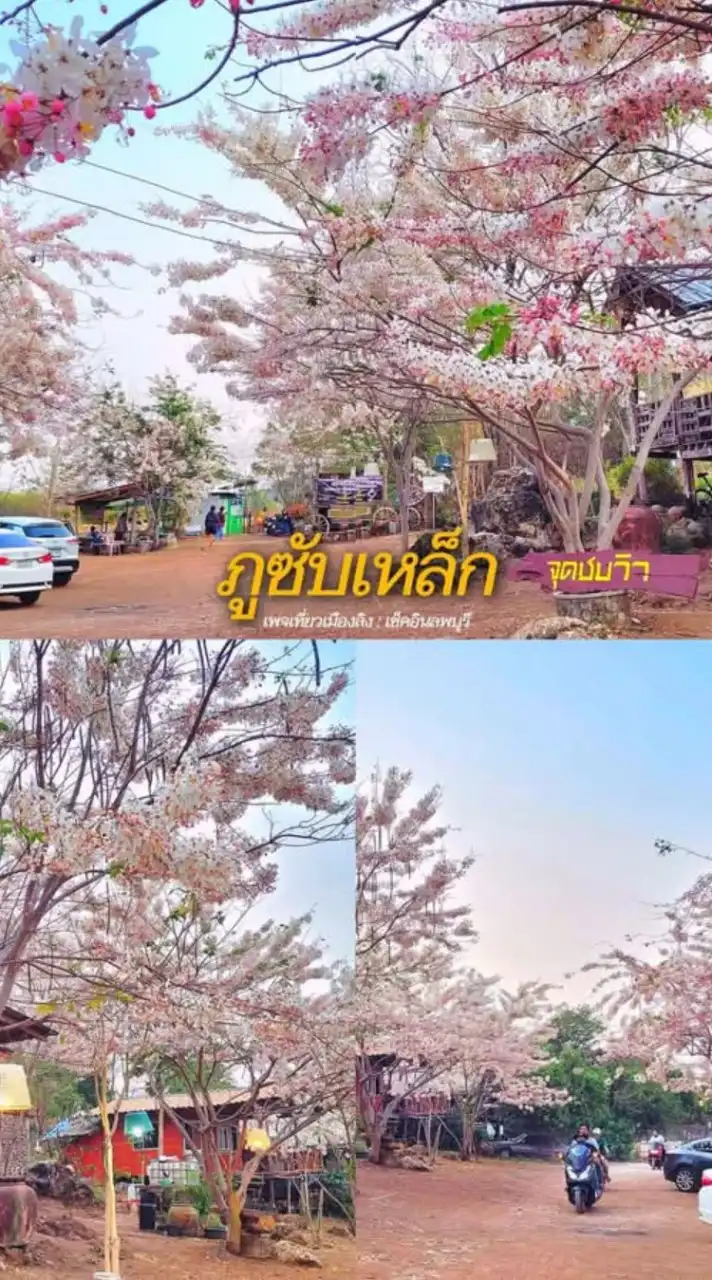 หางานลพบุรี ท่าหลวง ชัยบาดาล