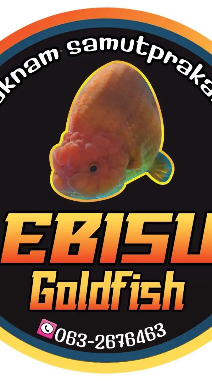 Ebisu Goldenfish Samutprakarn 🦈