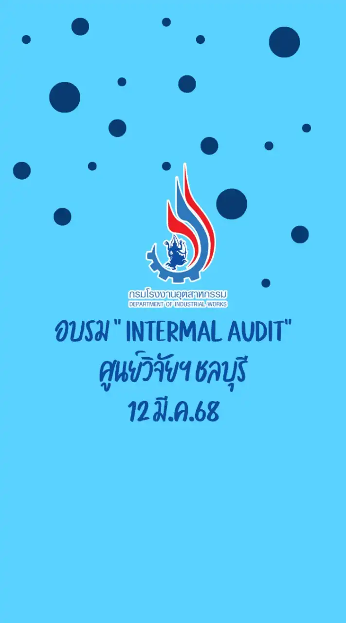 Internal Audit-12 MAR 2025 DIW [รุ่น 2]