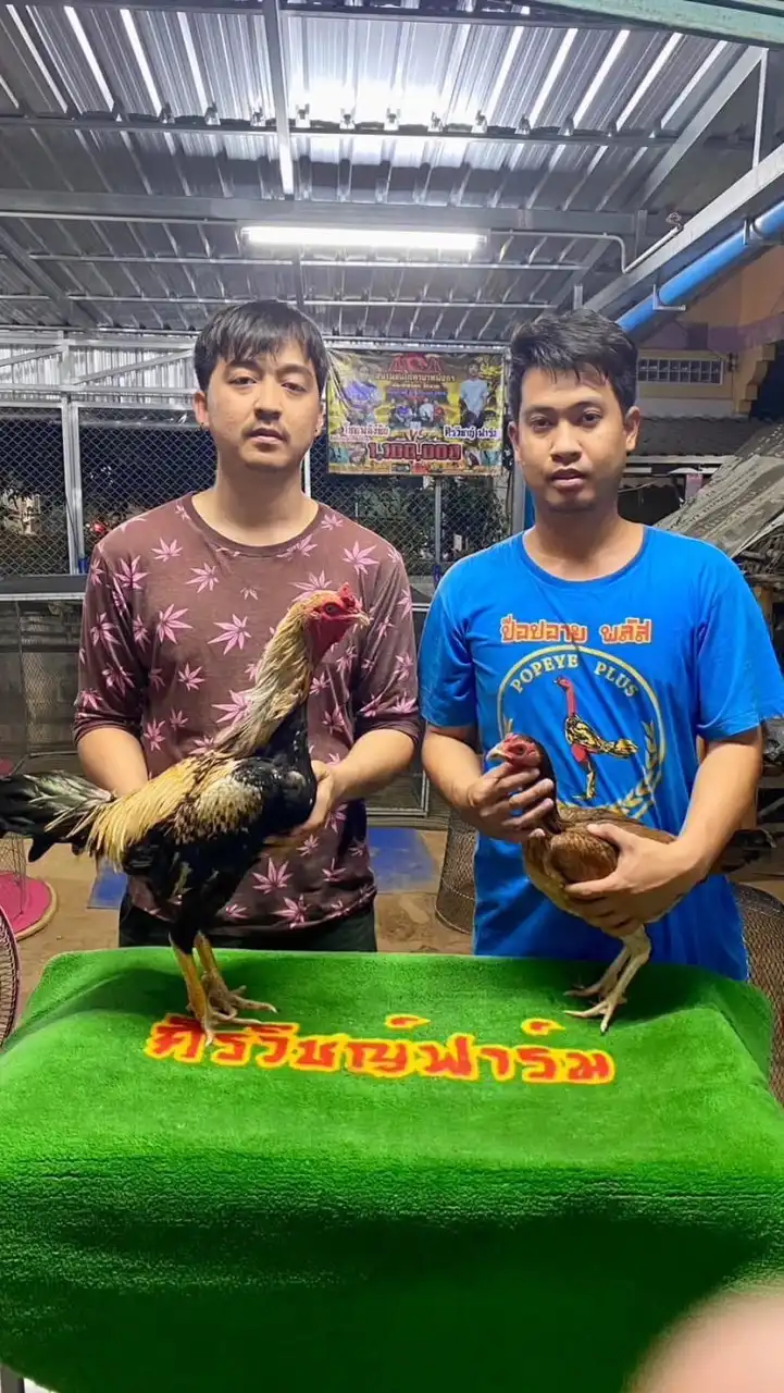 คนธรรมดา