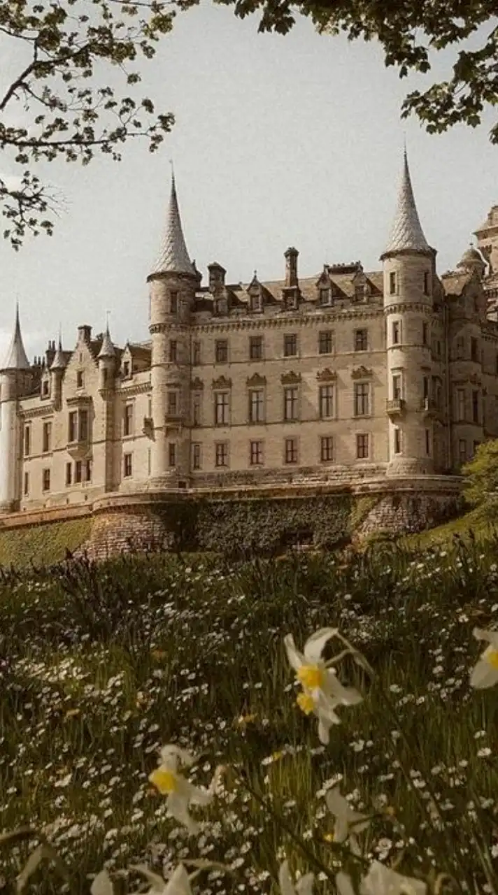 ༺°✩⚜️𝙈𝙖𝙜𝙞𝙘 𝙤𝙛 𝙎𝙘𝙝𝙤𝙤𝙡⚜️✩°༻ [ RP ]