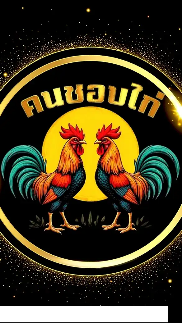 คนชอบไก่