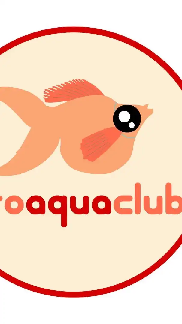 PROAQUACLUB บอลลูนมอลลี่