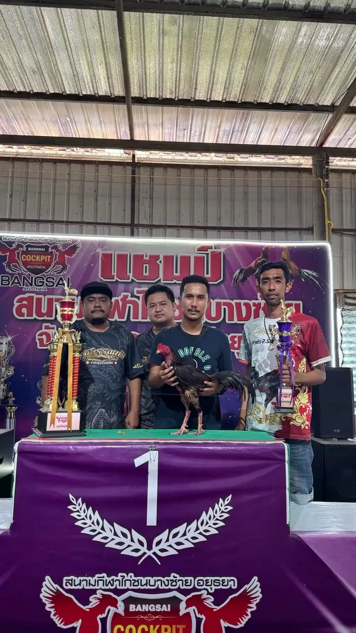 เพชรวันชนะสังกัดมังกรสุพรรณ🐲