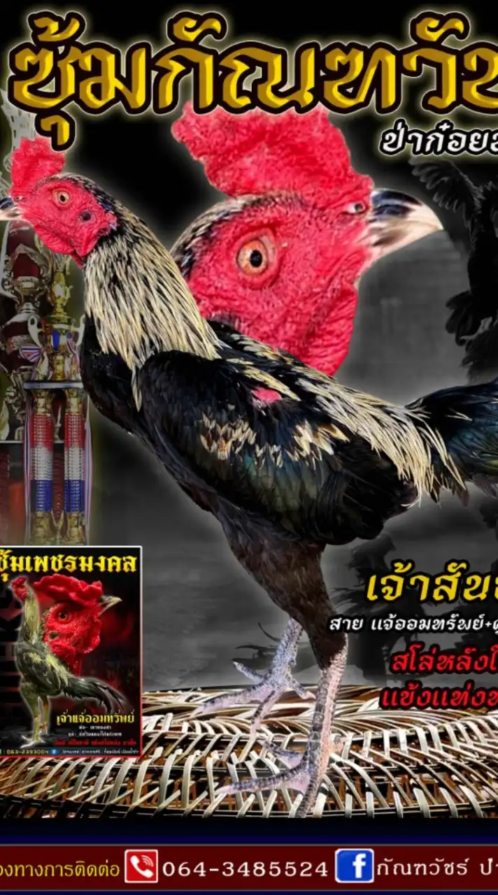 กัณฑวัชร์ ป่าก๋อยสโลหลัง