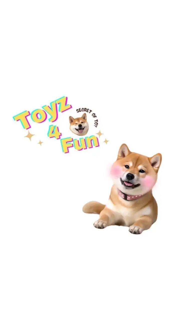 Toyz4Fun