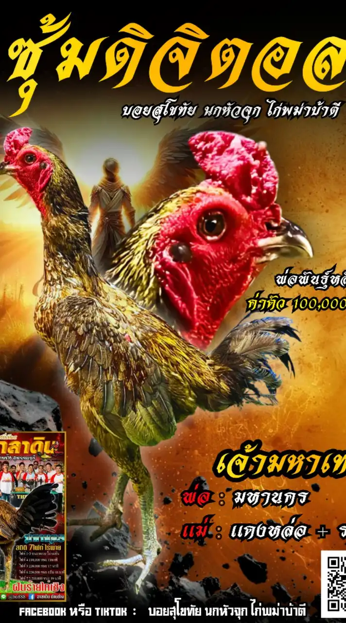 ซุ้มดิจิตอล(บอยสุโขทัย พม่าบ้าตี)