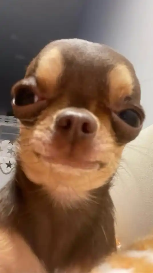 คุยเล่นนนน.ᐟ