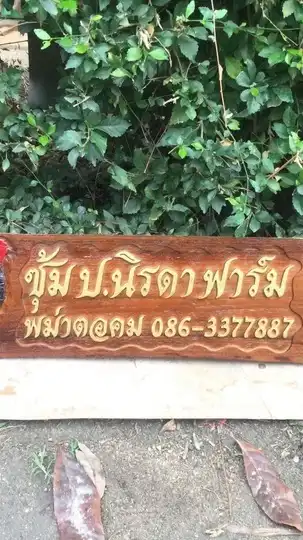 ป.นิรดาฟาร์ม อ่างทอง🐲