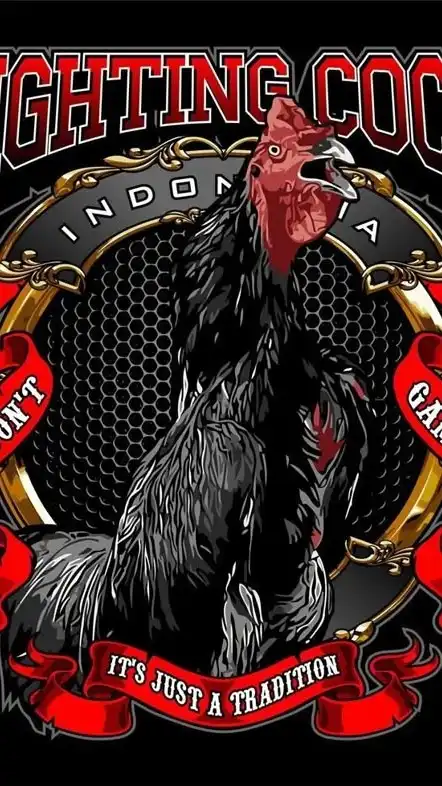 บังแดน ไก่ชน