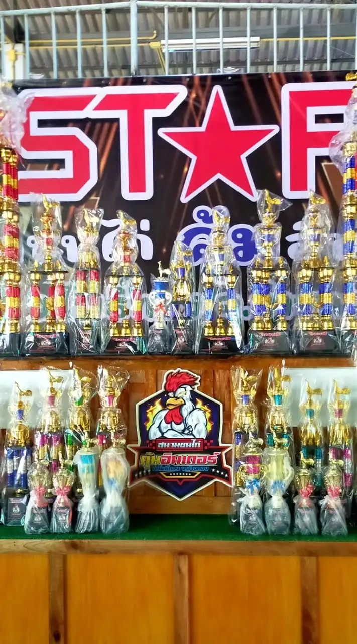 สนามชนไก่ คุ้มอินเตอร์ อ.โพธิ์ทอง จ.อ่างทอง