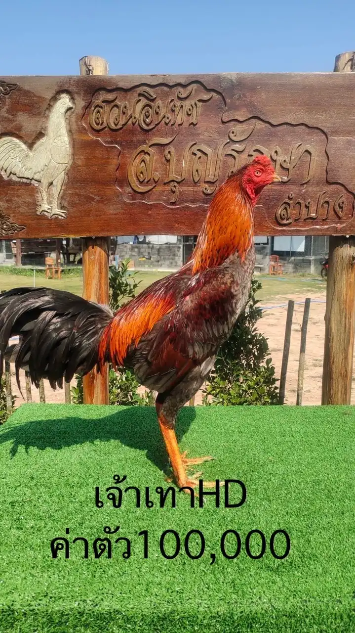 ศ.ศุภโชค