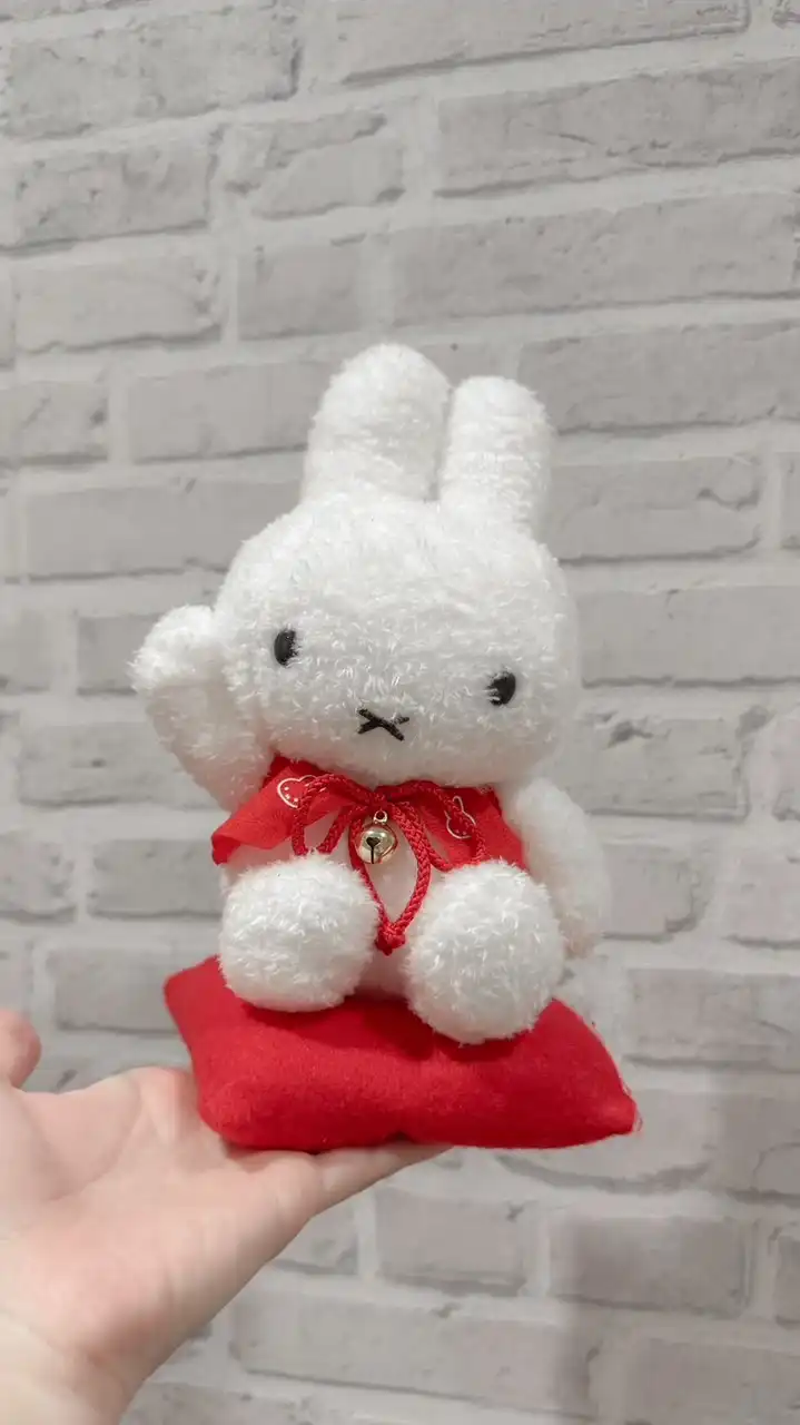 VIP miffy 🐰 chanom