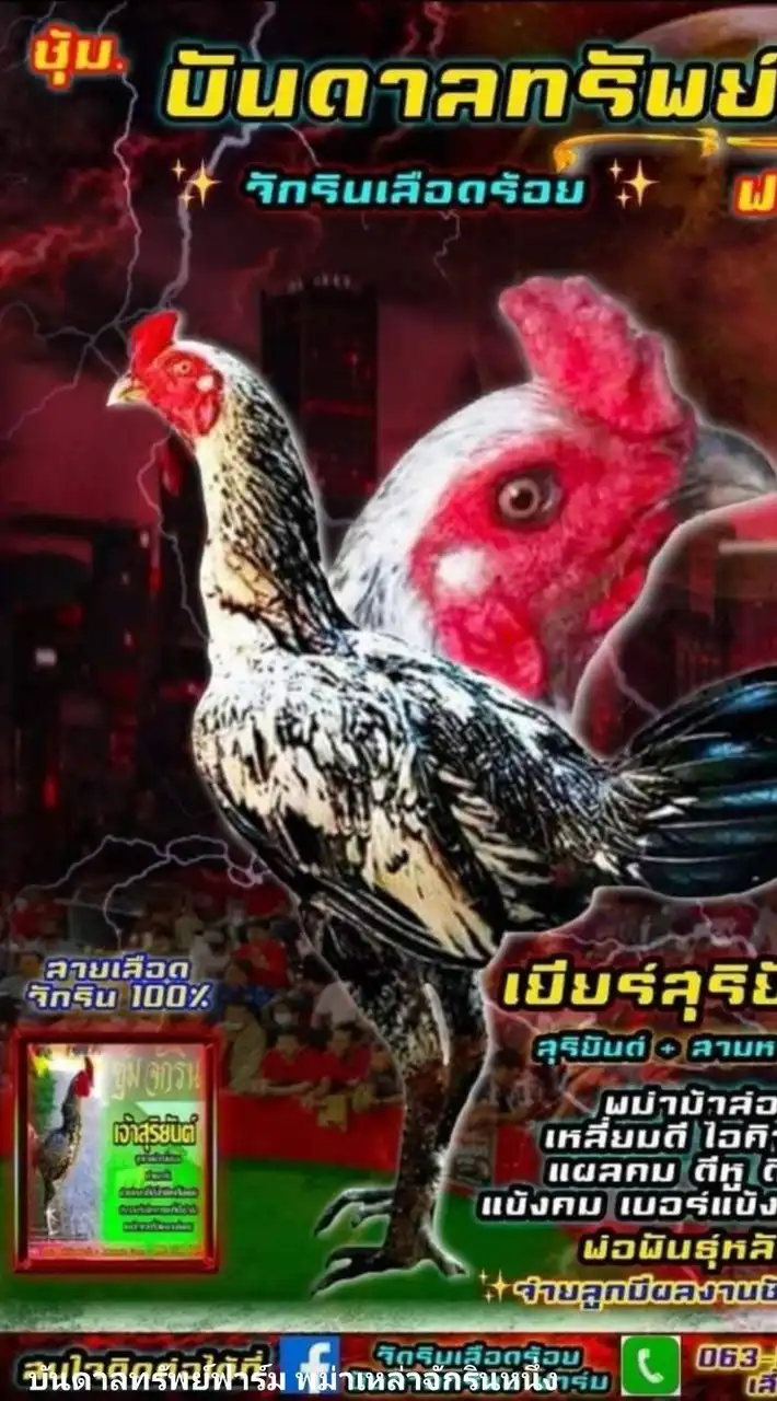 บันดาลทรัพย์ฟาร์ม🐓