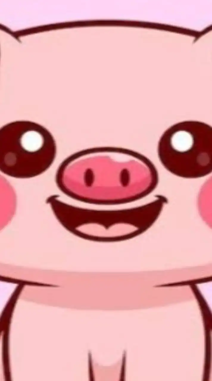 🐷Happy pick🐷