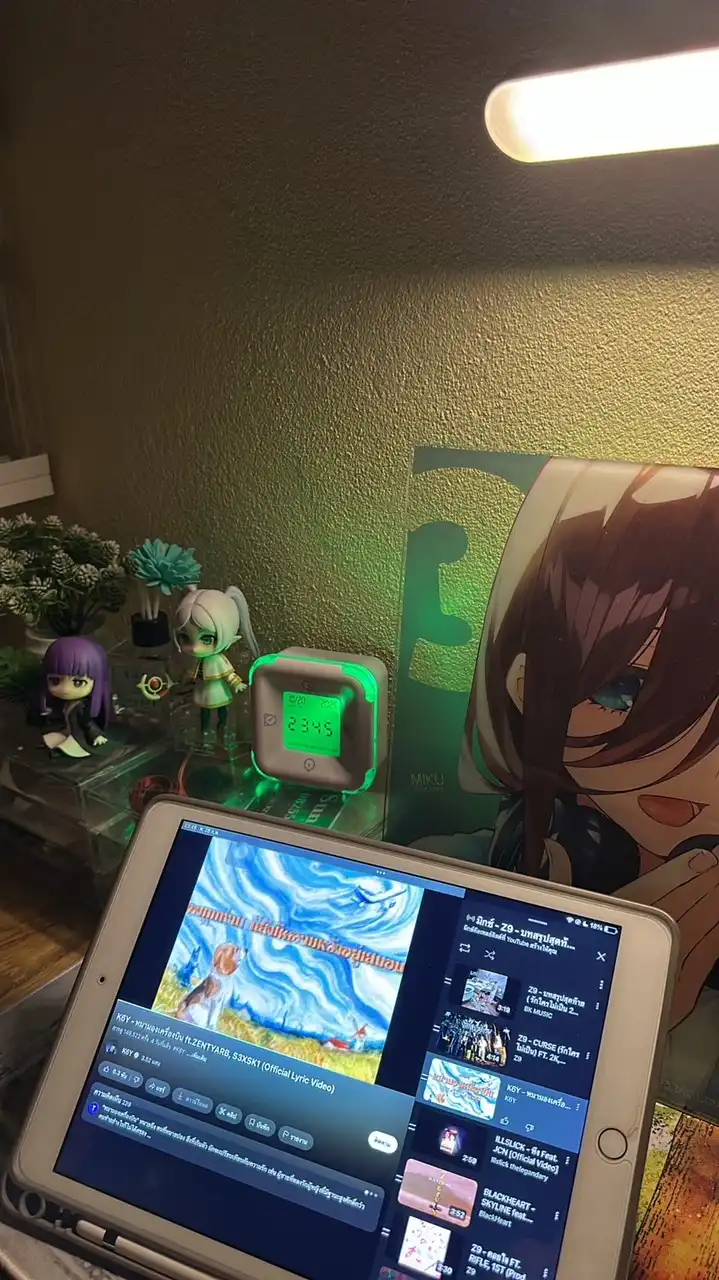 ร้าน Blackriseanimestore