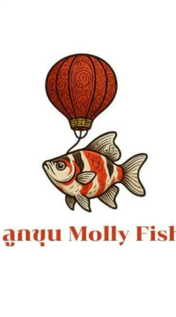 ลูกขุน Molly fish